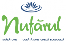 Spalatorie Curatatorie Deva