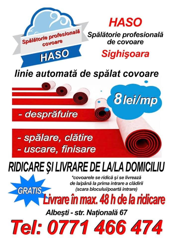spalatorie covoare albesti sighisoara